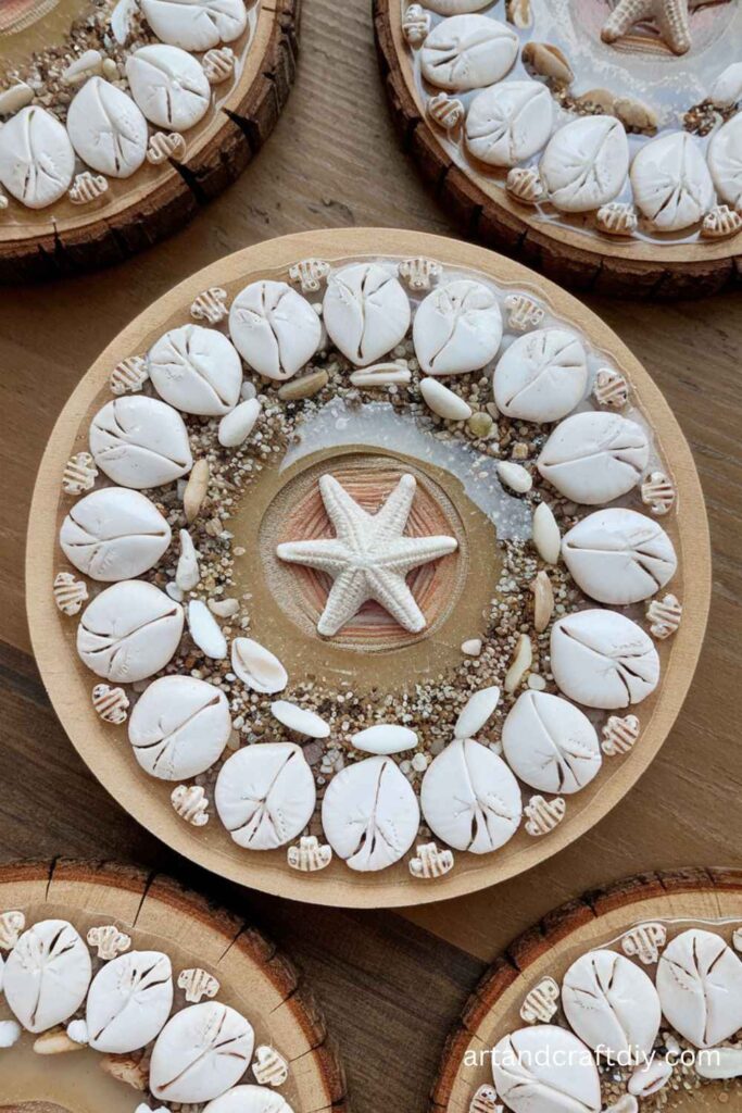 Seashell Coasters