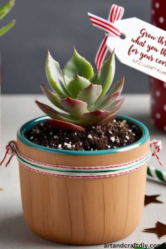 DIY Succulent Planter