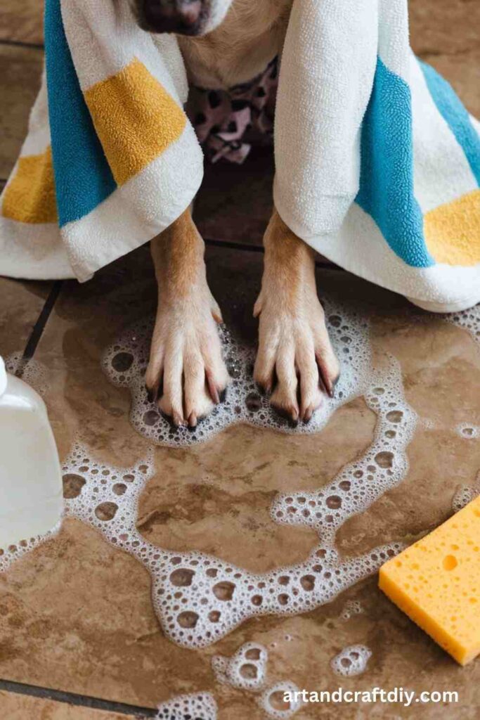 Clean a Pet’s Paws