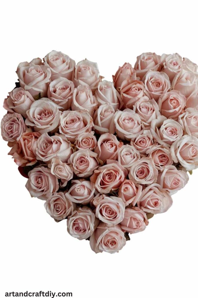Heart Made of Roses