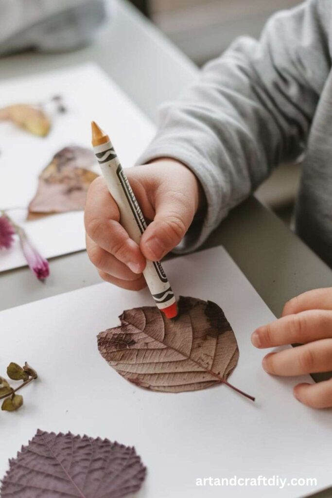 Nature Prints