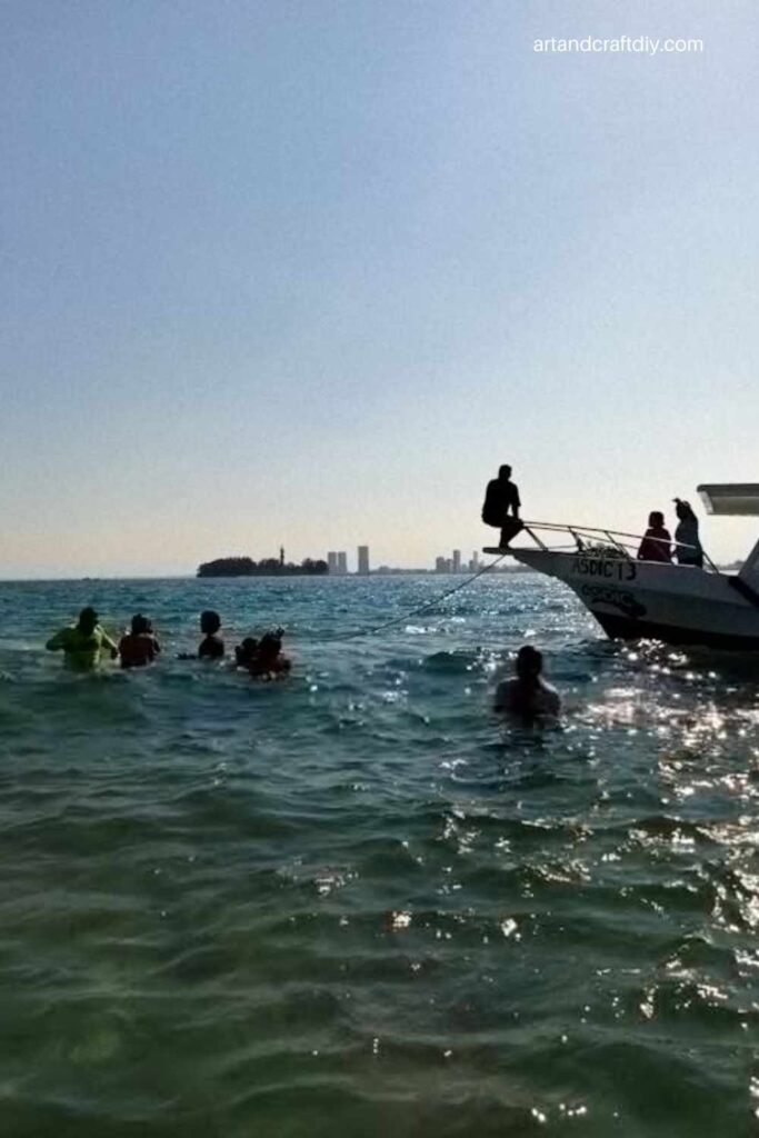 Cruise Ship Catastrophe