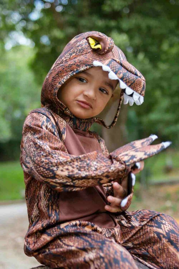 Dinosaur Dig Adventure