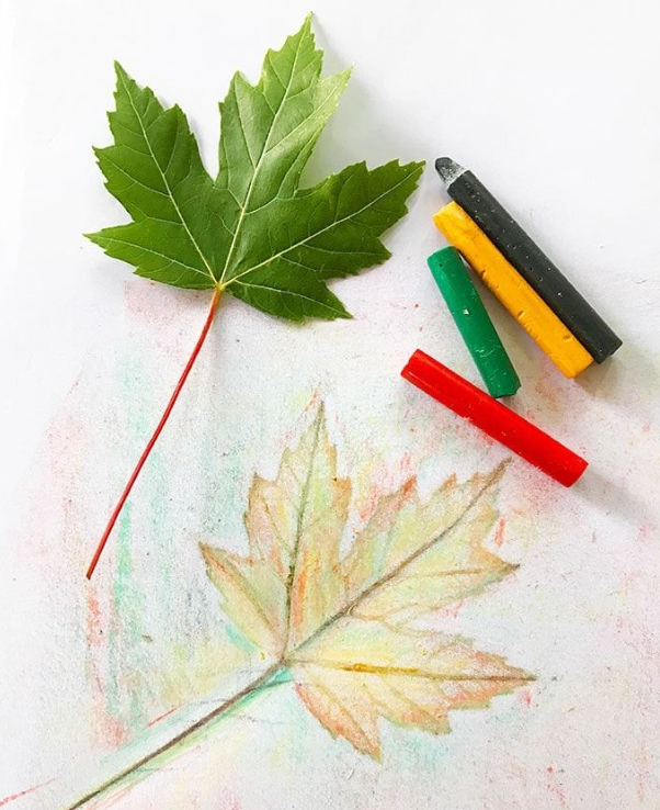 Leaf Rubbing Art