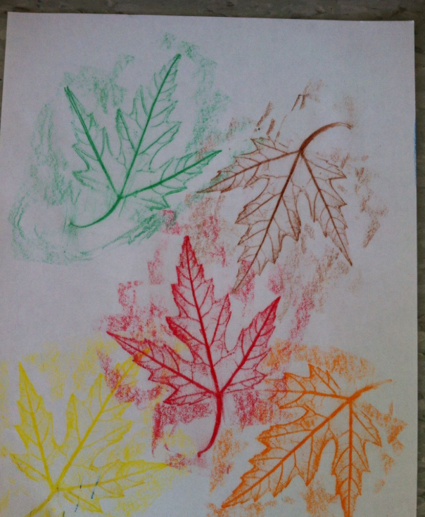 Leaf Rubbings