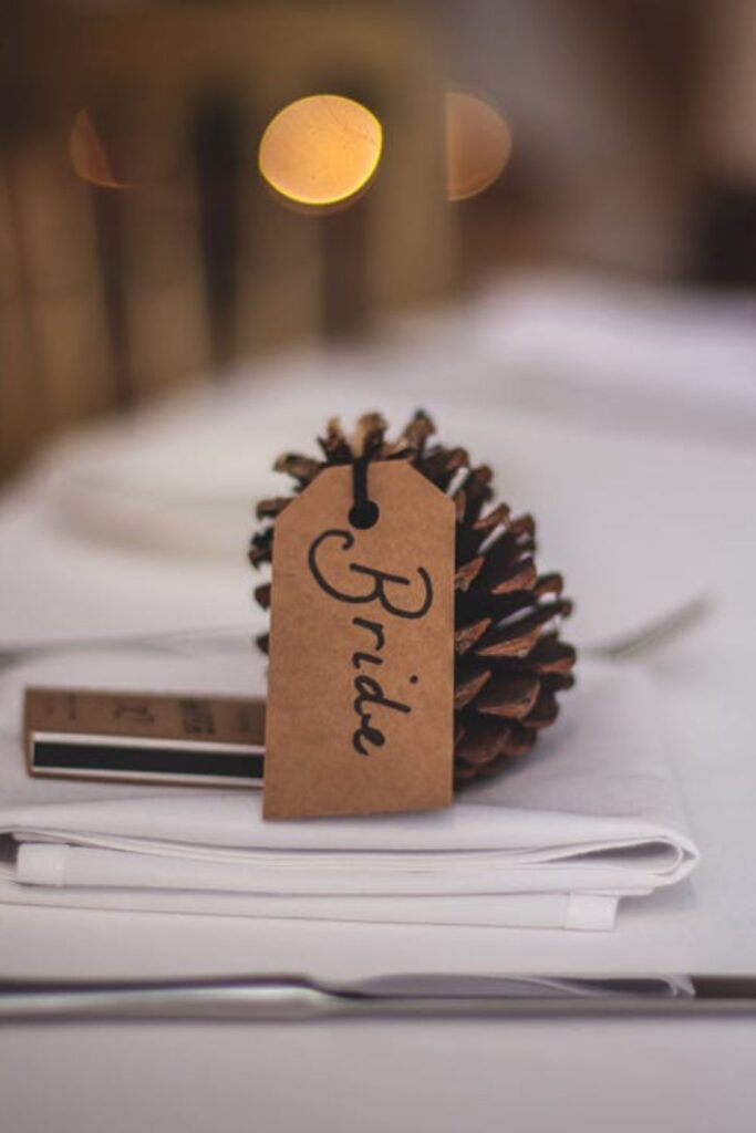 Pinecone Place Card Holders