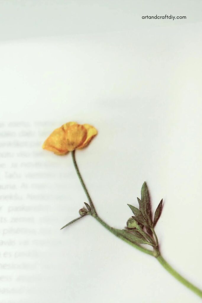 Pressed Flower Bookmarks