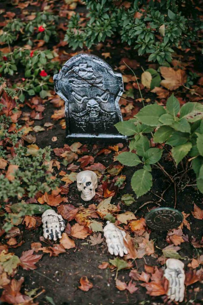 Graveyard Garden