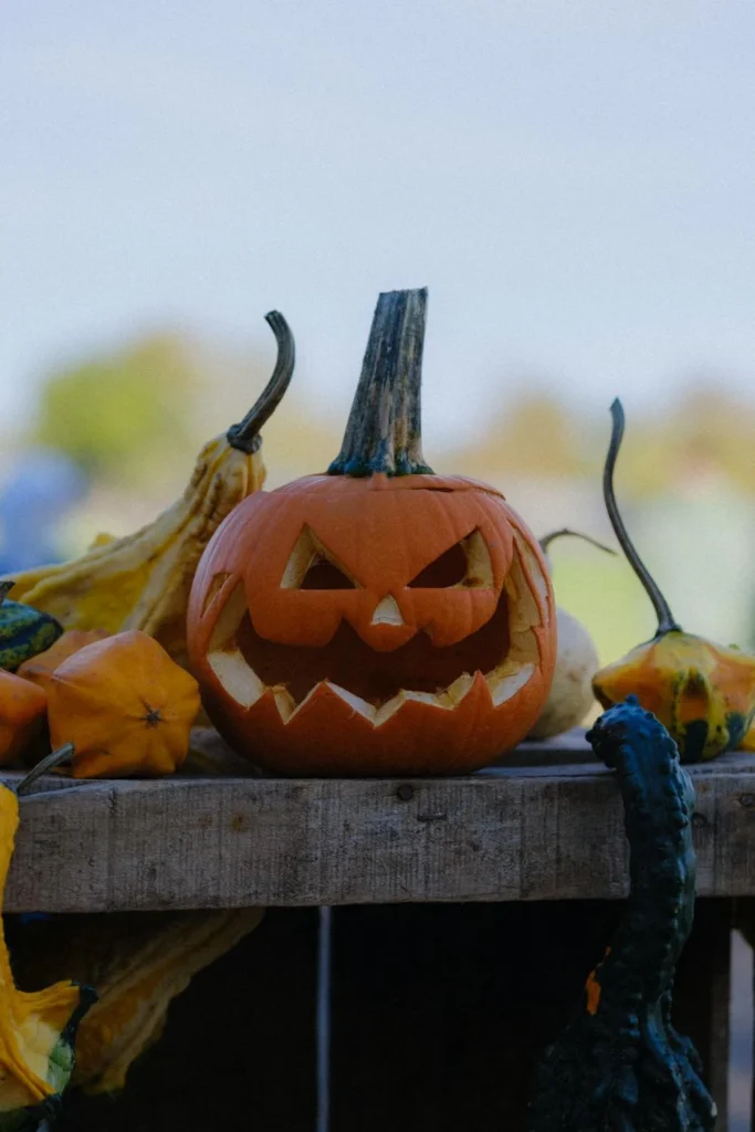 Pumpkin Patch Vibes