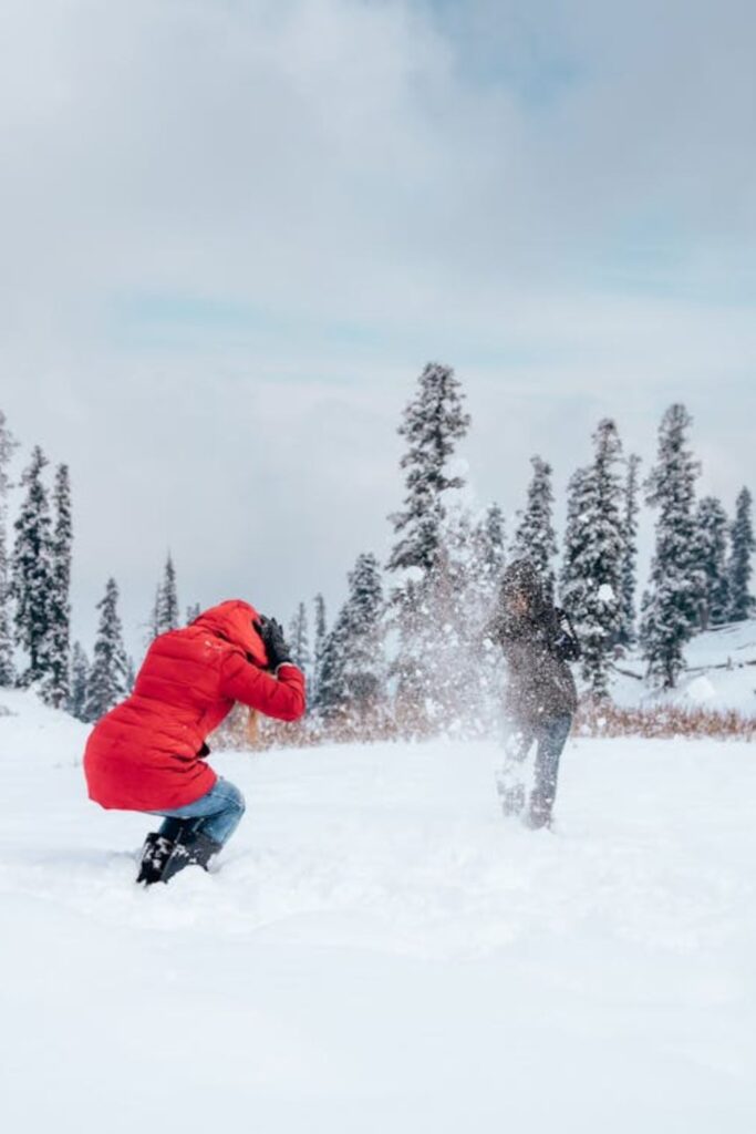 Snowball Toss Game