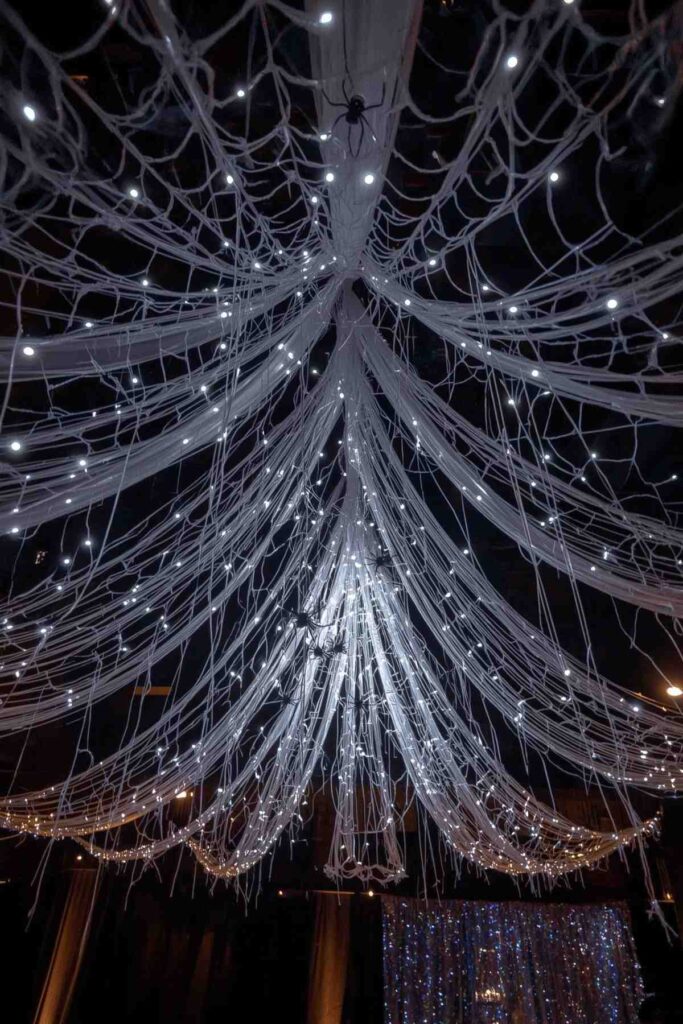 Spiderweb Ceiling