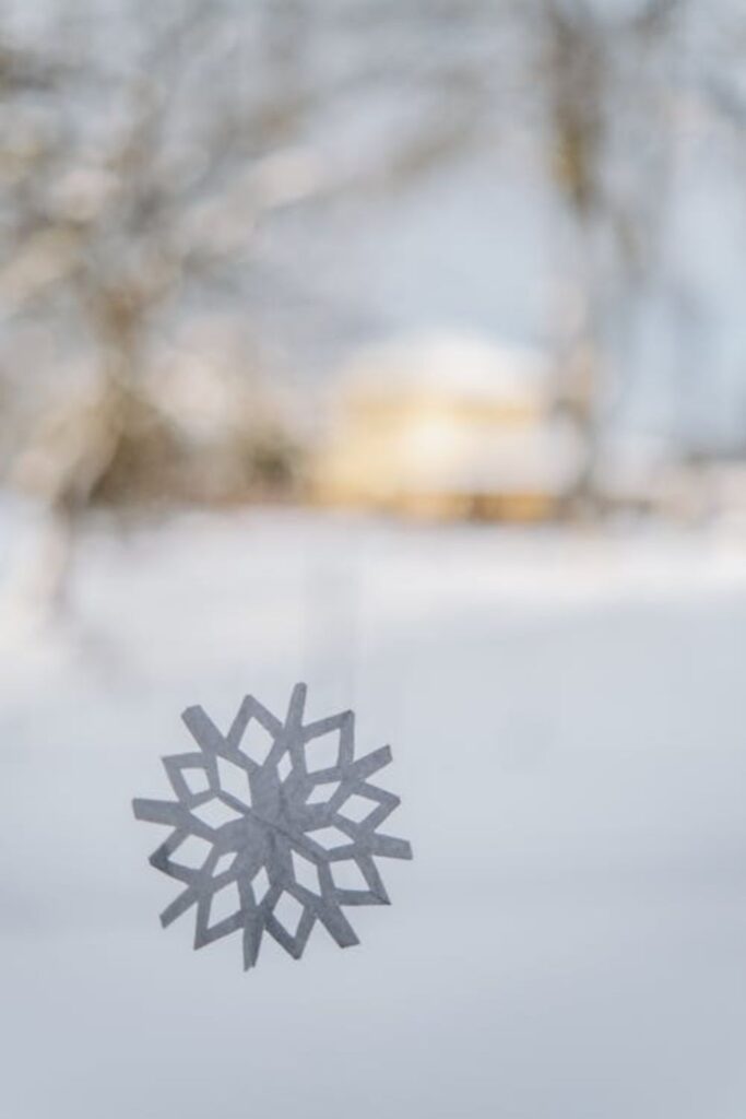 Paper Snowflake Windows