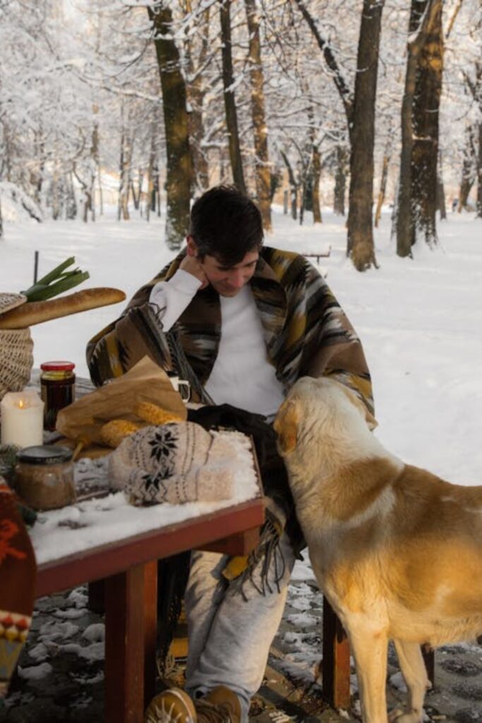 Winter Wonderland Picnic