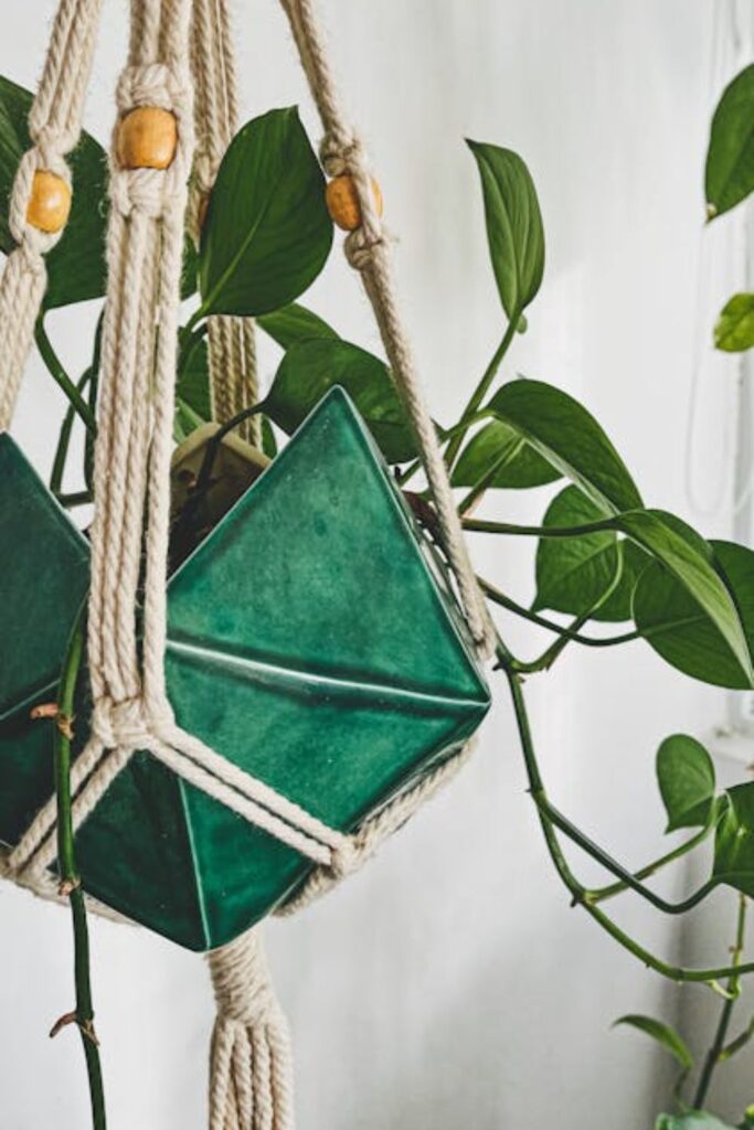 Autumn-Colored Plant Holders