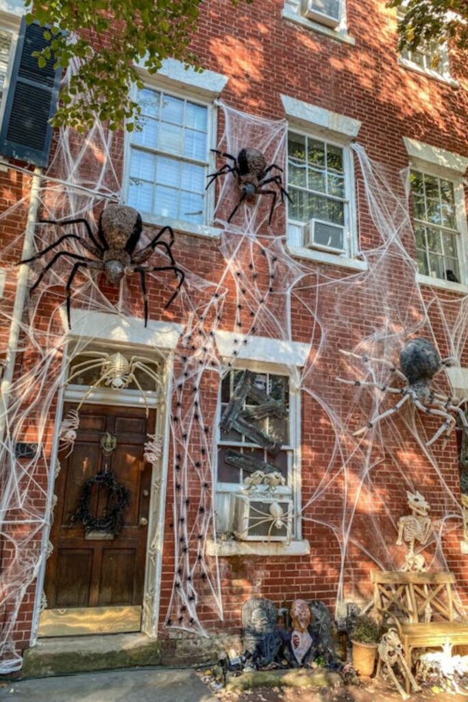 Giant Spiderweb Wall