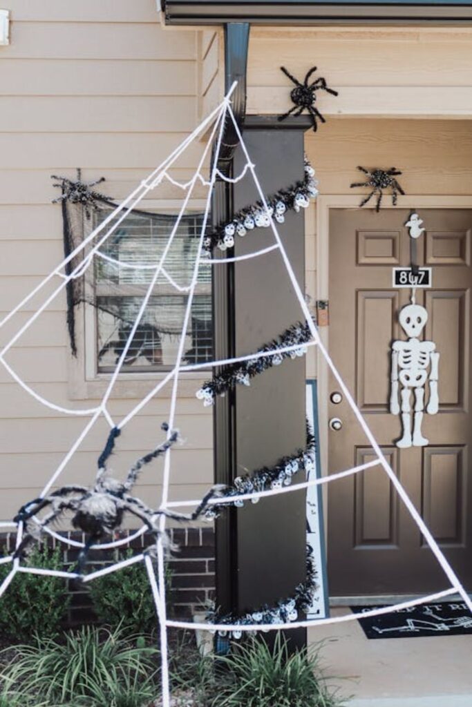 Cobweb and Spider Door