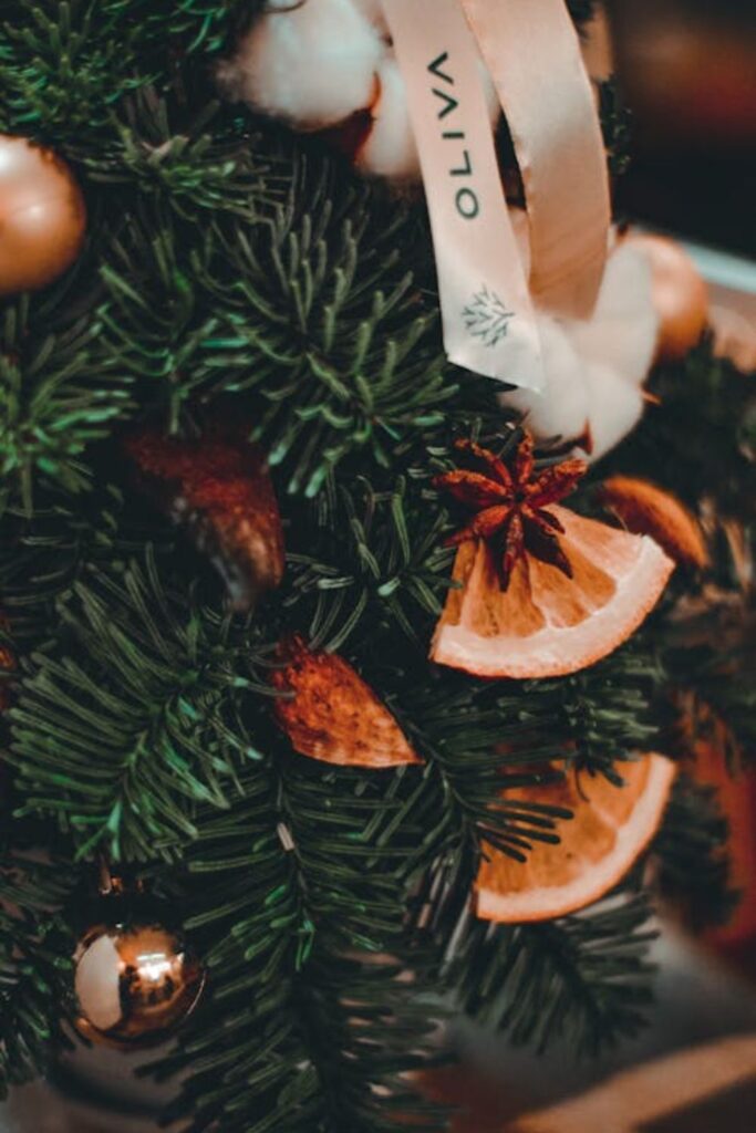 Dried Orange Ornaments
