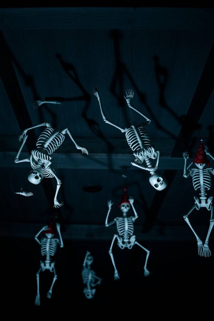 Hanging Skeletons