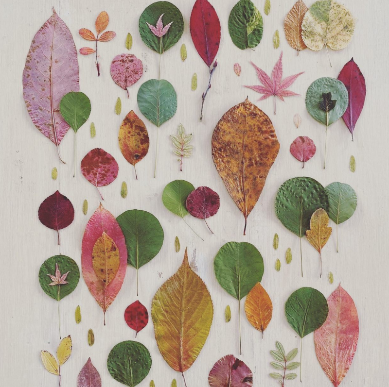 Leaf Collage Craft