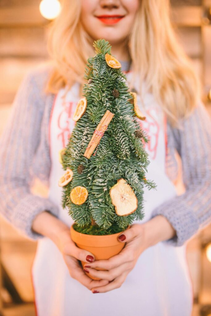 Mini Potted Christmas Trees