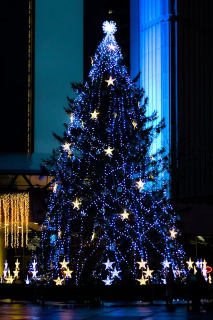 Outdoor Christmas Tree