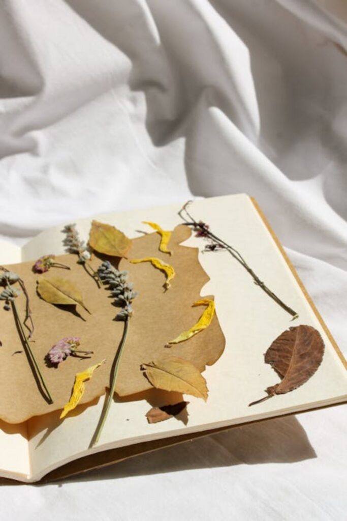 Pressed Leaf Art