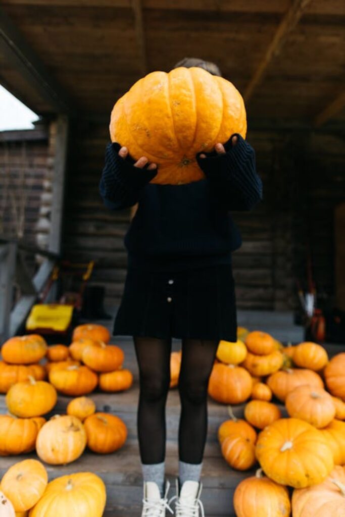 Pumpkin and Gourd Display