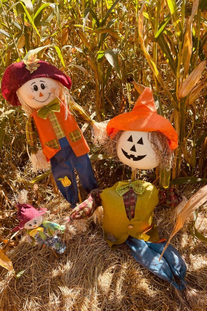 Scarecrow Decor