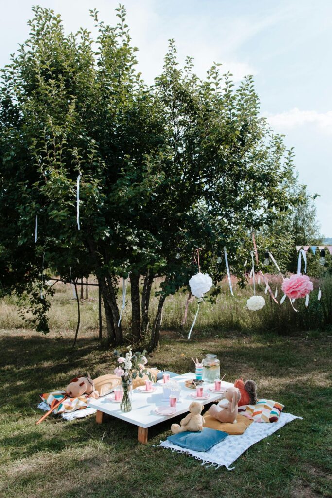 Teddy Bear Picnic