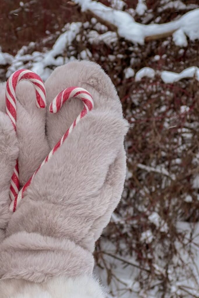 Candy Cane Wonderland