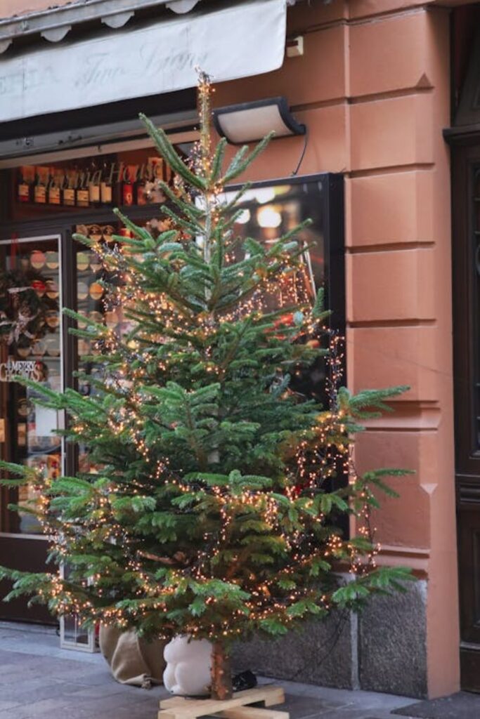 Christmas Tree Corner Setup