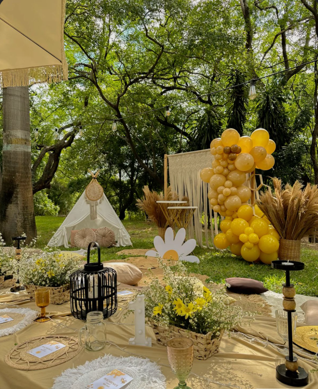 Daisy Delight Celebration