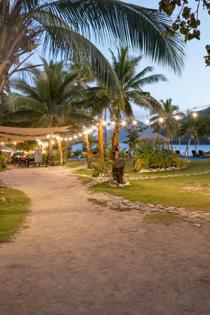 Fairy Light Pathways