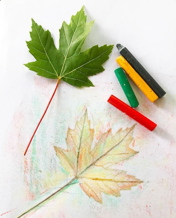 Leaf Rubbing Art