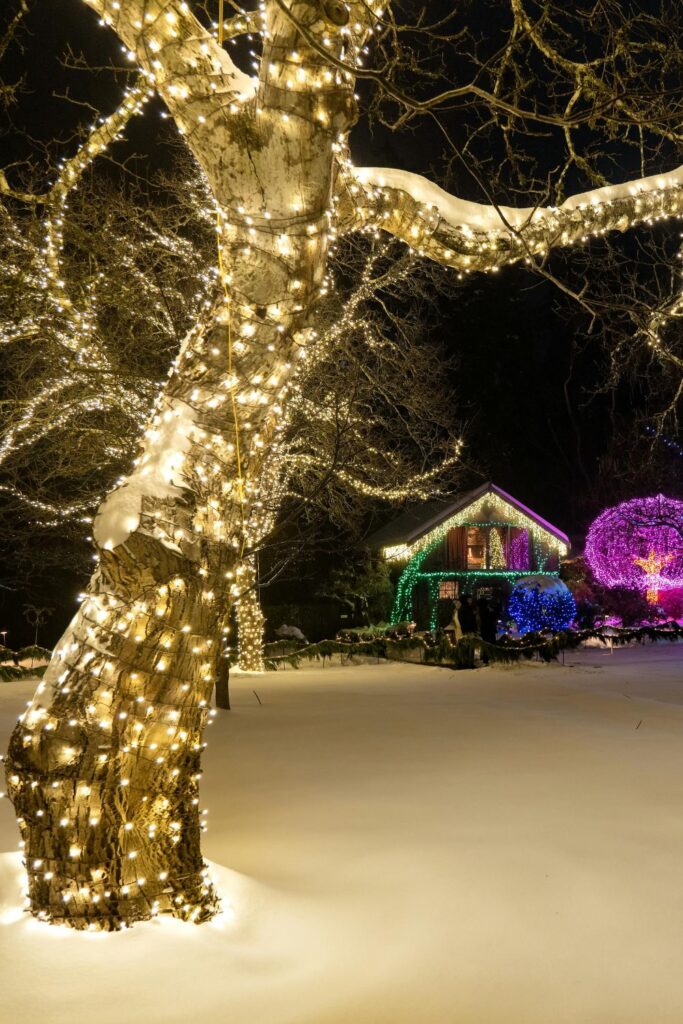 Outdoor Yard Lights