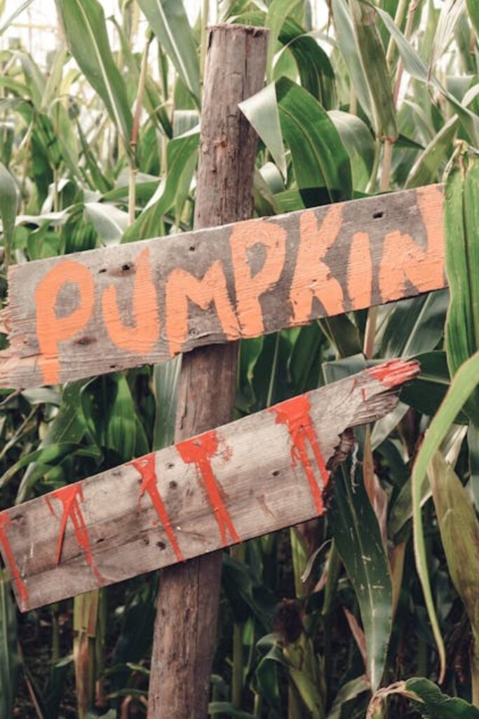 Painted Wooden Signs