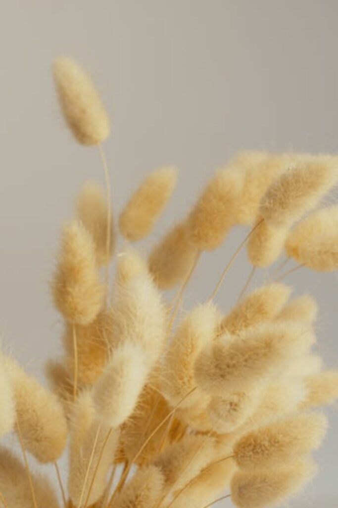 Pampas Grass Centerpieces