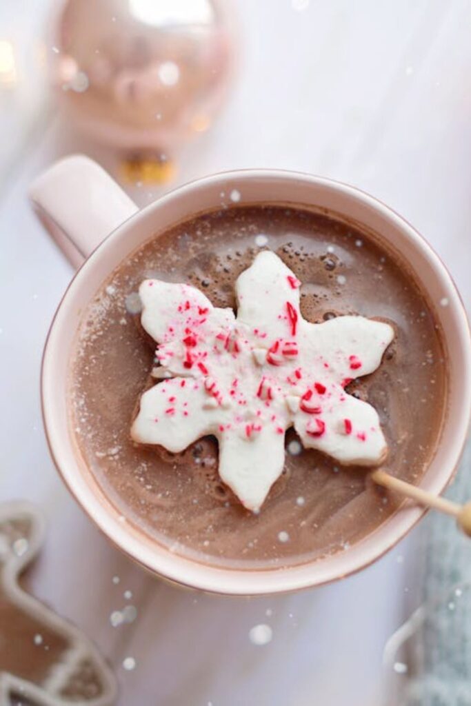 Peppermint Chocolate Cookies