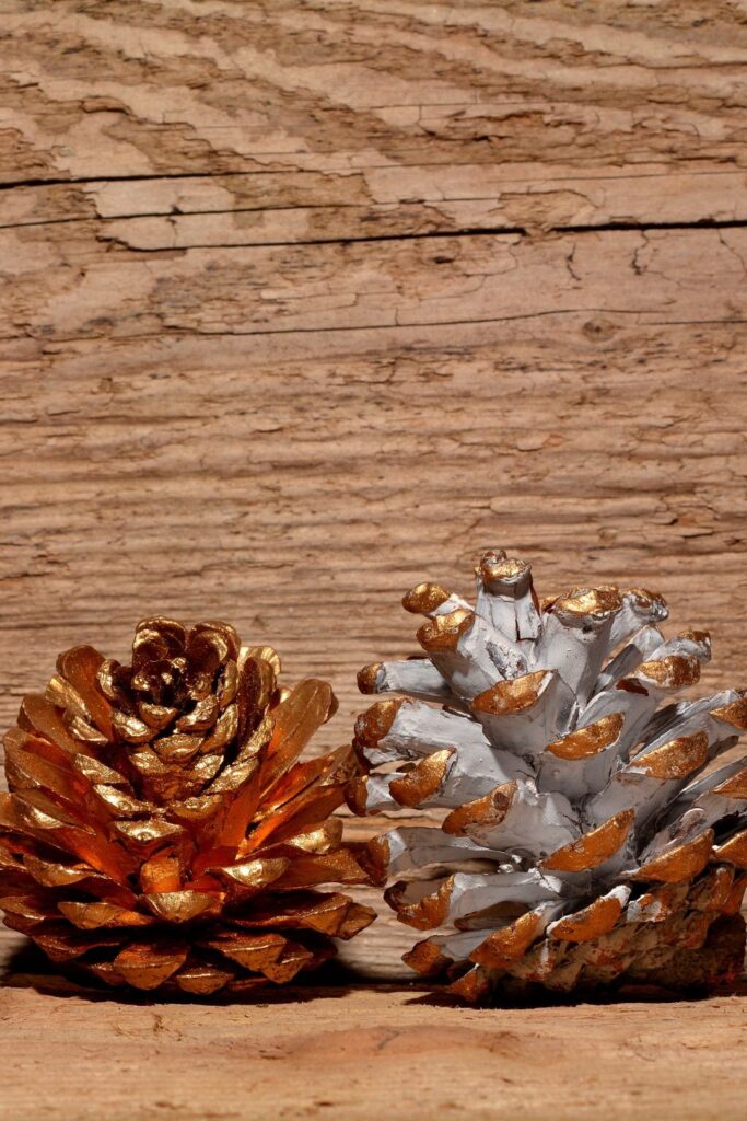 Pinecone Painting