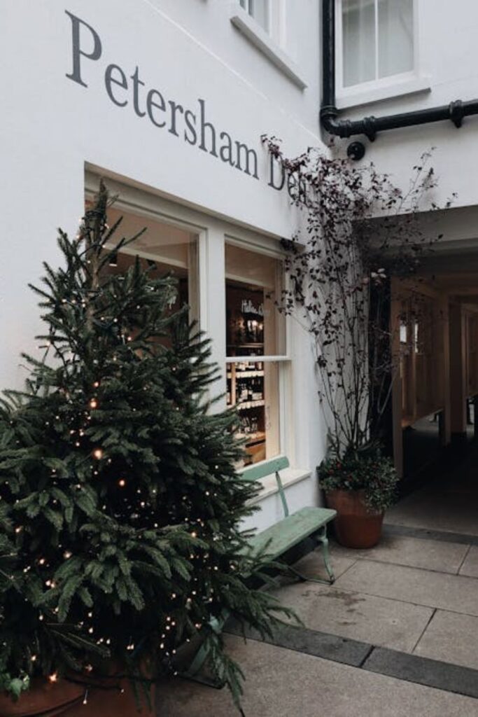 Potted Christmas Tree