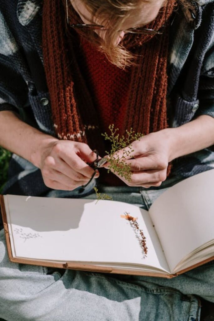 Pressed Flower Bookmarks