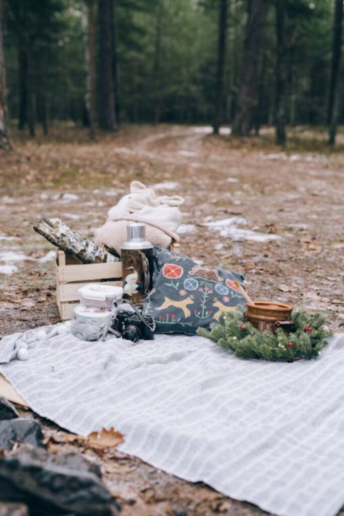 Rustic Christmas Picnic