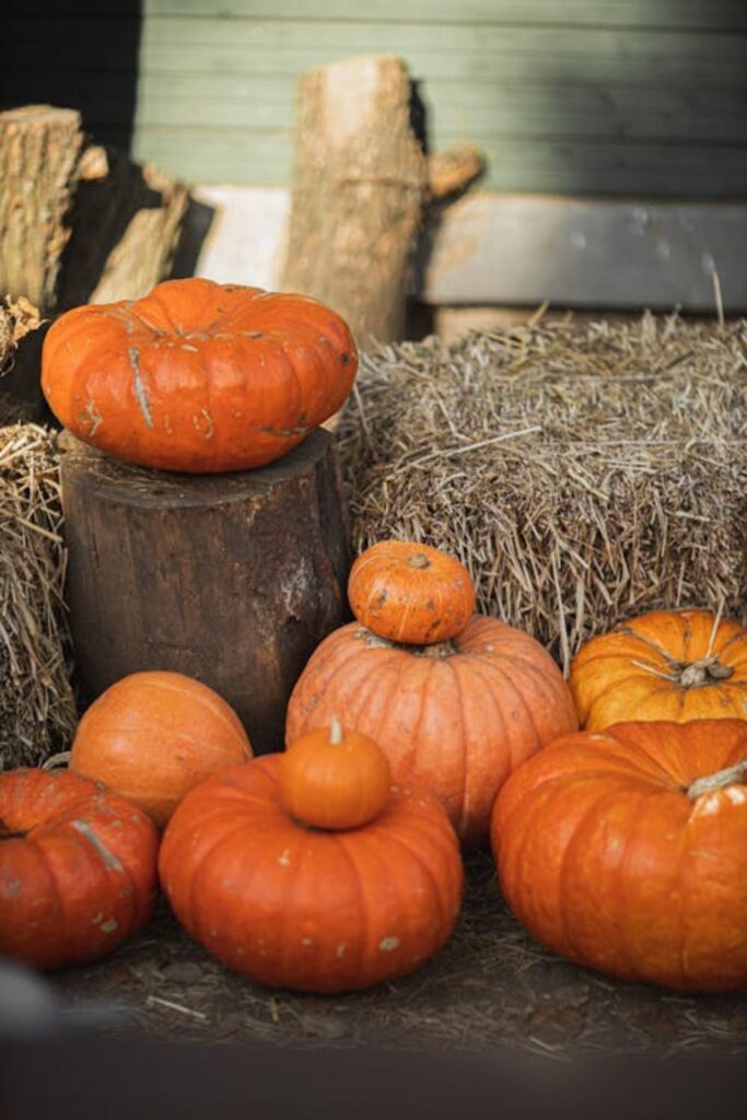 Rustic Pumpkin Display