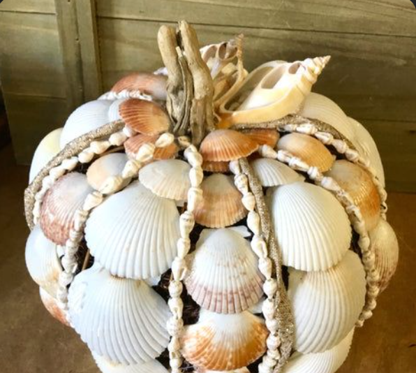 Seashell Pumpkin Display