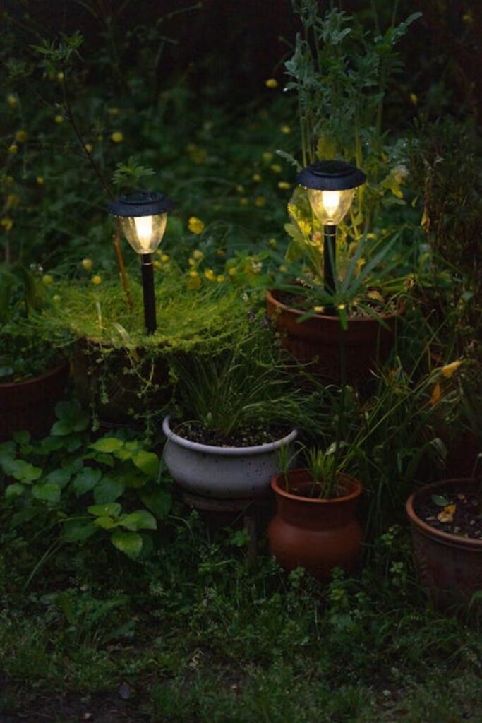 Solar-Powered Garden Lights