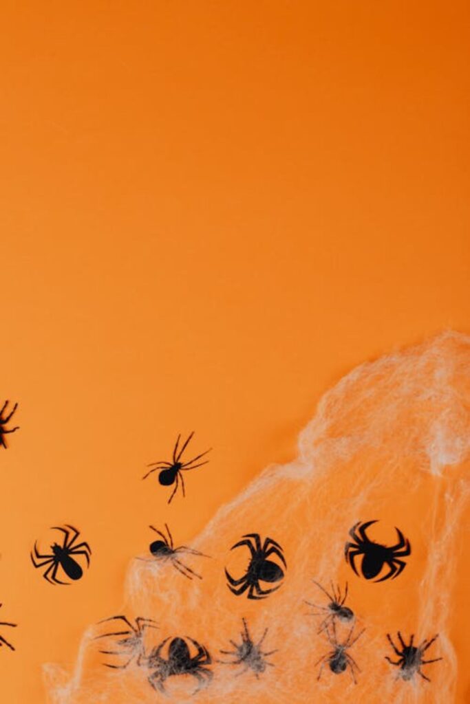 Spider Webs with Cotton