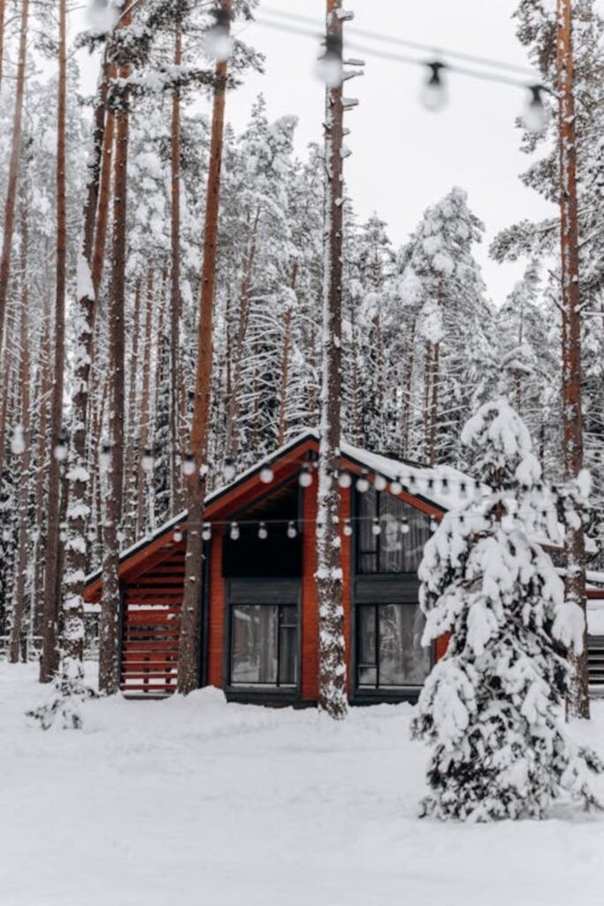 Winter Wonderland Snow Scene