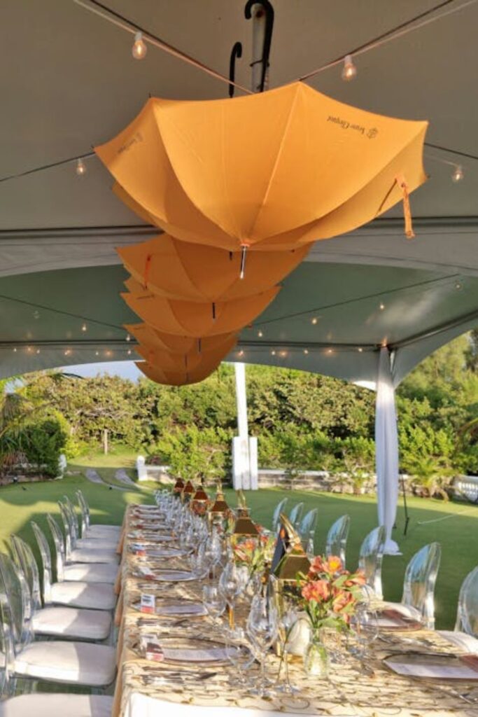 Outdoor Projector Party