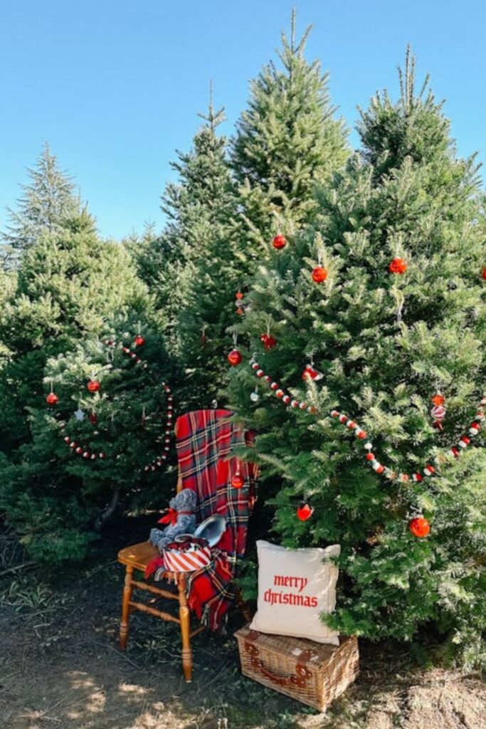 Rustic Farmhouse Charm