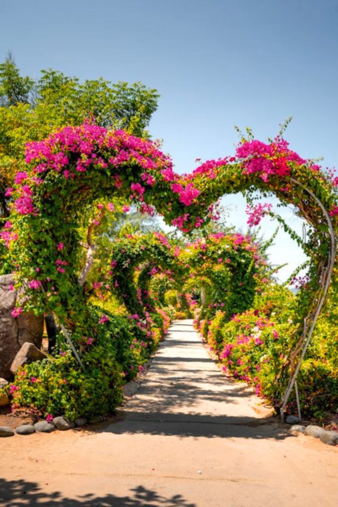 Blooming Garden Path Decor